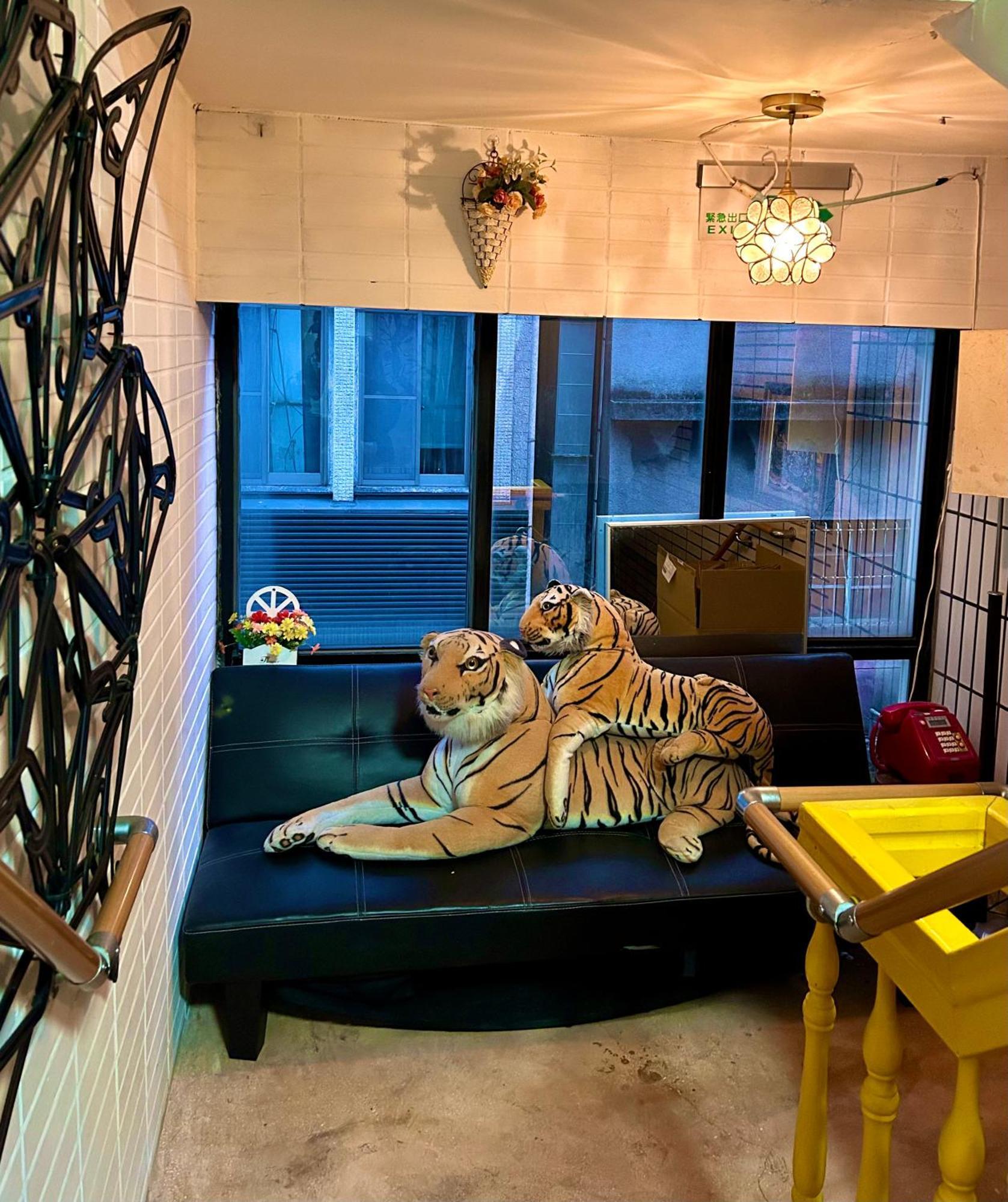 Asrama Triple Tiger